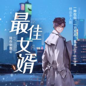 最佳女婿有声小说