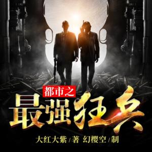 都市之最强狂兵