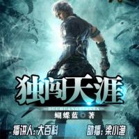 独闯天涯有声小说