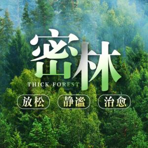 密林助眠音乐30首