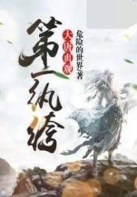 大唐贞观第一纨绔，双播轻快版有声小说