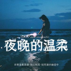 夜晚的温柔