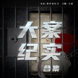 大案纪实合集有声小说