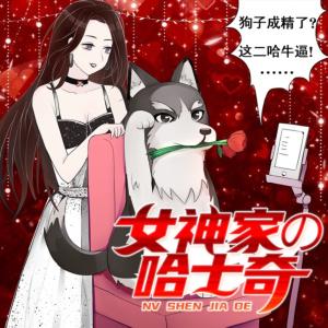 女神家的哈士奇有声小说