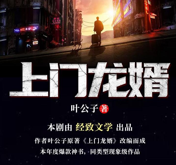 上门龙婿有声小说