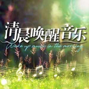 清晨唤醒音乐