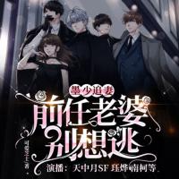 墨少追妻：前任老婆别想逃有声小说