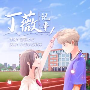 丁薇记事有声小说