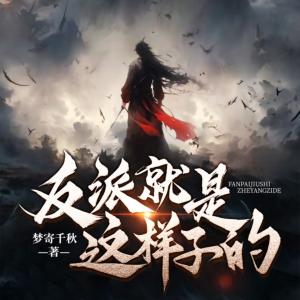反派就是这样子的有声小说