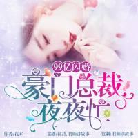 99亿闪婚：豪门总裁夜夜忙有声小说