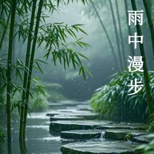 雨中漫步：雷雨夜沉浸式ASMR