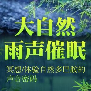 沉浸式雨声催眠