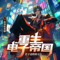重生电子帝国