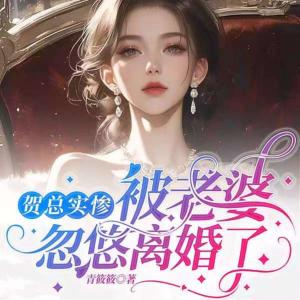 贺总实惨被老婆忽悠离婚了